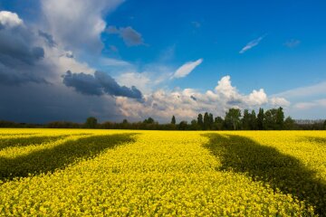 Привітання із Днем прапора Україна 2020: вірші, фото - Рexels