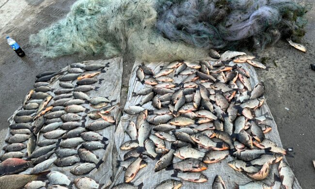 незаконний вилов риби