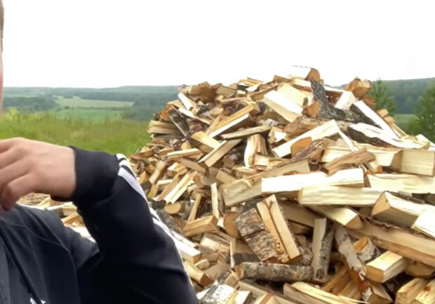 Опалення дровами, скріншот з відео