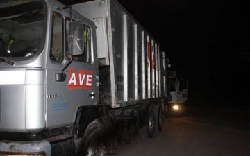 Львовский мусоровоз убил двух женщин