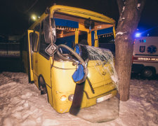 У Києві маршрутка знесла пішохода і влетіла в дерево