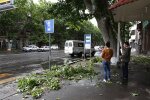 Лютая стихия оставила франковчанина без машины, корвалол не поможет: дикое ЧП попало на камеру