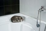 Не будь вонючкой, качай мышцы кастрюлями - с 12 мая в Киеве отключат горячую воду