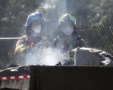 Опубликованы первые видео жуткой авиакатастрофы в Мельбурне