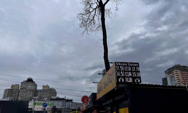 Обмін валют, фото: Знай.uа