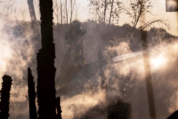 Пожары. Фото: EPA/UPG