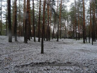 Град, фото: Александр Белименко /Facebook