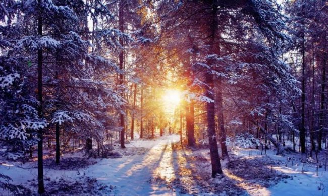 Зима не сдается: лютые морозы накроют Украину