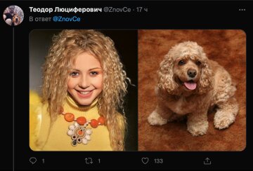 Тред з Тіною Кароль, фото: Twitter