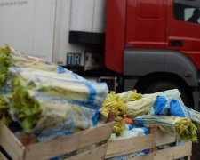 Україна поставила рекорд в експорті. Не вгадаєте чого