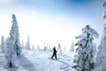 Де покататися на лижах: кращі курорти Німеччини