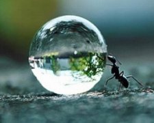 ТОП -10 самых продаваемых снимков 2015 года (фото)