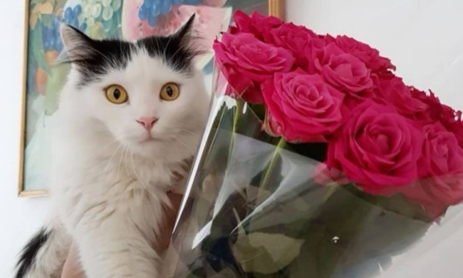 Букет квітів, зображення з вільних джерел