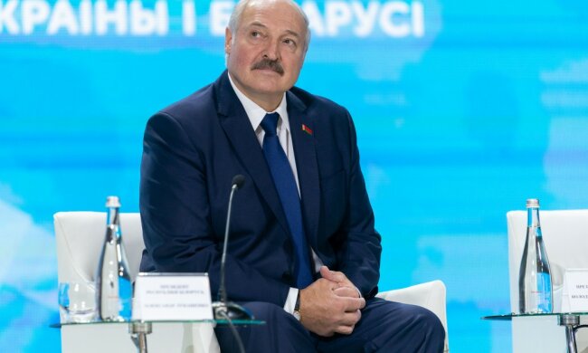 Лукашенко оконфузился в Житомире