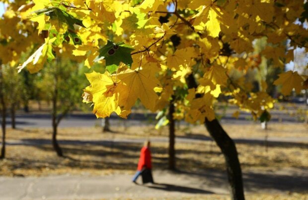 Погода восени, фото: Unian
