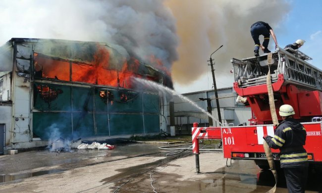 Под Киевом вспыхнула птицефабрика, несчастный куры едва не превратились в гриль: кадры из огня