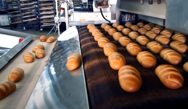 Производство хлеба. Фото: Youtube
