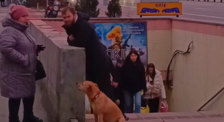 Українці, підземний перехід, кадр з відео