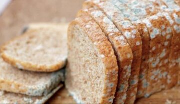 Хліб з цвіллю: фото скрін Ютуб