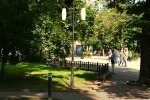 Франківчанці впарили крупу з лапками і крильцями - каша не вдалася