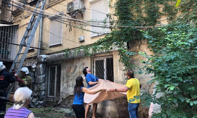 У Одесі рятували кота-руфера: усі 9 життів чотирилапого вціліли