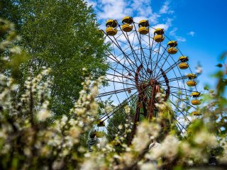 Квітучий світ зони відчуження