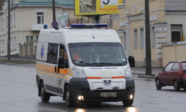 Львів'ян атакують отруйні тварюки, кількість жертв перевалила за сотню: медики божеволіють