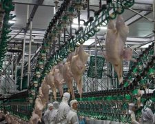 Катастрофа! Под Киевом обнаружили 160 тонн зловония