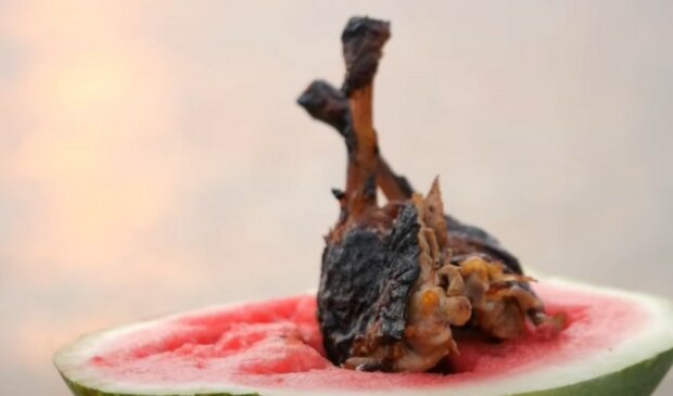 Сочная уточка, запеченная в арбузе - древнее закарпатское блюдо удивит даже гурманов