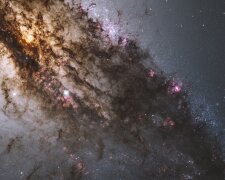 Гороскоп, фото: pixabay