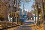 Осінь вирішила не затримуватися в Києві: яку погоду синоптики обіцяють 30 листопада
