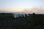 На Прикарпатті палійка трави загубила улюблену "іграшку" Ляшка
