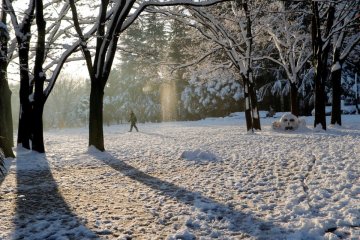 Погода на 17 февраля: весна пришла в Украину, но ненадолго
