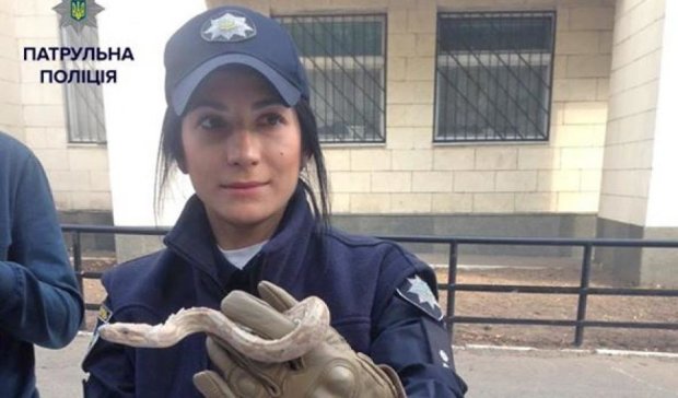Київські поліцейські затримали змію
