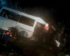 Пасажирський автобус влетів у лісовоз, загинули 14 осіб