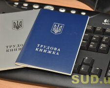 Трудова книжка та електронний реєстр ПФУ