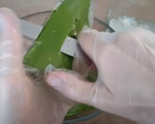 Алое вера. Фото: Youtube