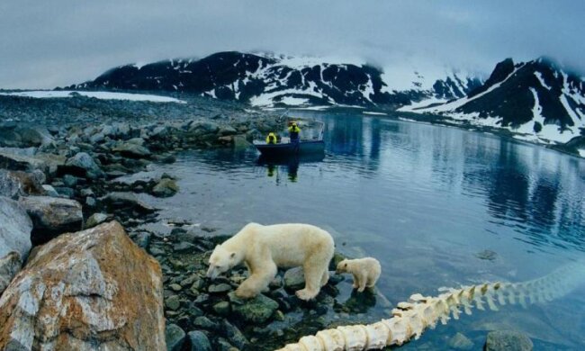 Аномальные сдвиги: ученые предупредили о весенней угрозе