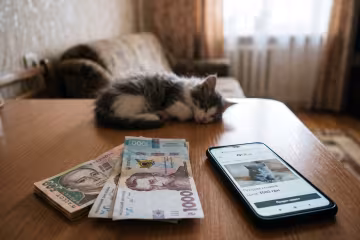 штраф кошенята гривні оголошення