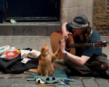 Ви не чоловік, якщо... Зухвала заява киянки сколихнула інтернет