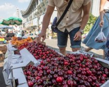 Крымские оккупанты превратили фрукты в золото