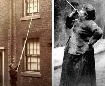 Живые будильники