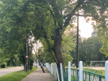 Киев, фото: Знай.ua