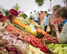 Сезонные продукты осени: не пропустите самое вкусное