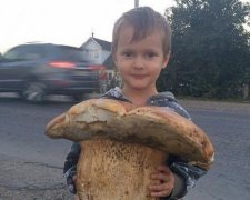 В Карпатах знайшли гриб розміром з дитину (фото)