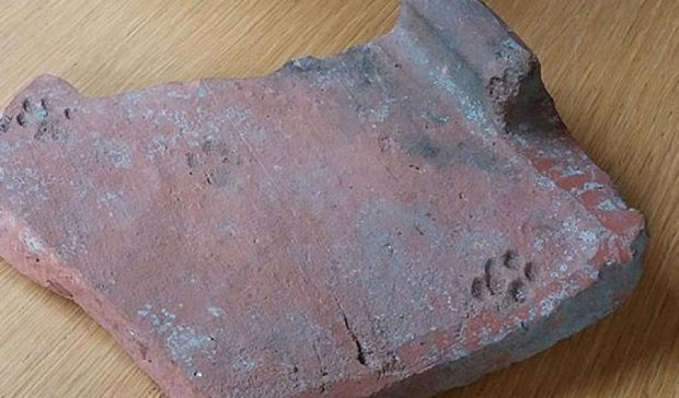 Археологи нашли кошачьи следы, которым более двух тысяч лет
