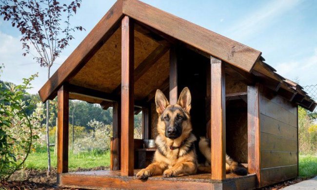 Ford представил умную будку для вашего питомца