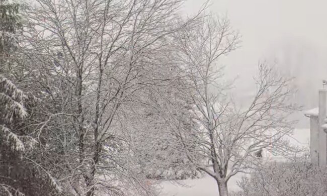 Погода взимку, фото: кадр з відео
