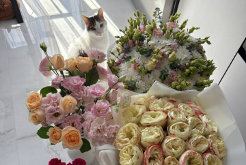 Букети квітів, котик, зображення: Знай.ua