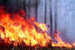 У Франції масштабну лісову пожежу гасили спецлітаками